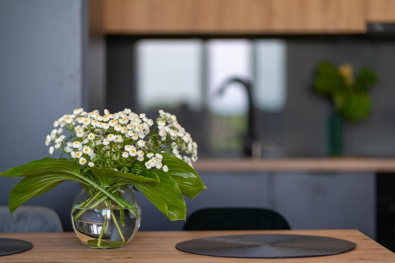 Apartament No 34 Green - Holiday Home Zator Eksteriør billede